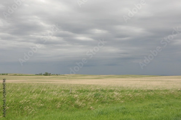 Obraz Grey Skies Field and Storm