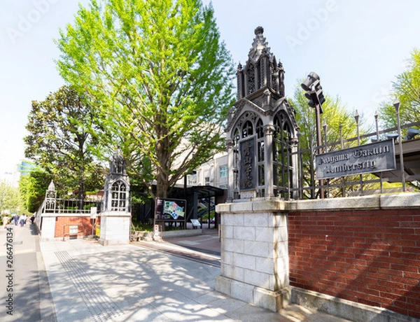 Obraz 青山学院