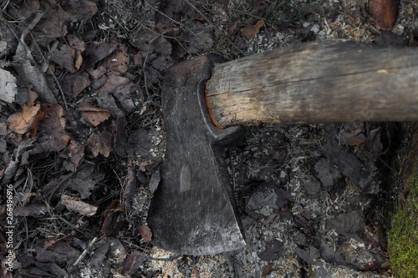 Obraz ax with wooden handle
