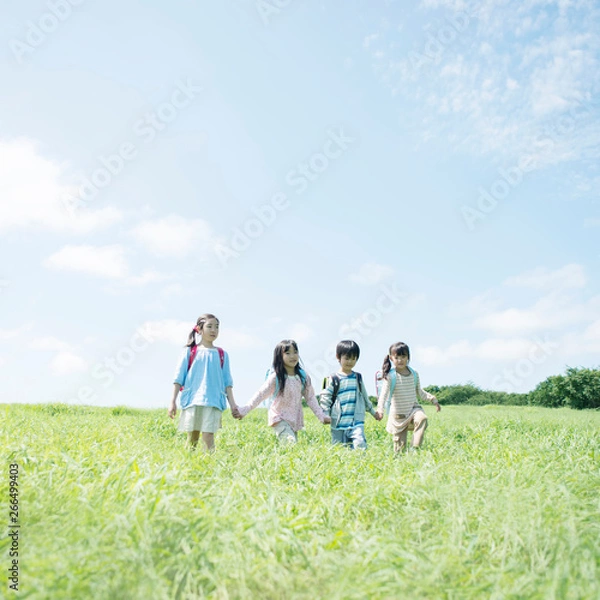 Fototapeta 草原で手をつなぐ小学生