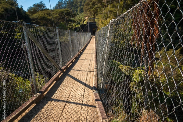 Obraz bridge in park