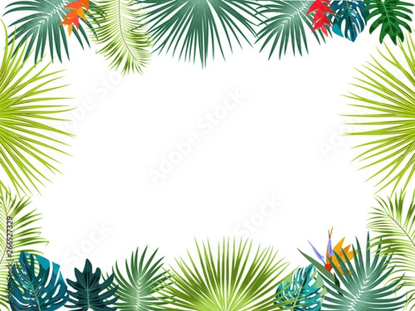 Fototapeta Vector tropical jungle frame with palm trees and leaves on white background