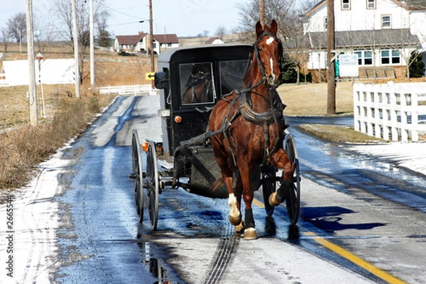 Fototapeta amish