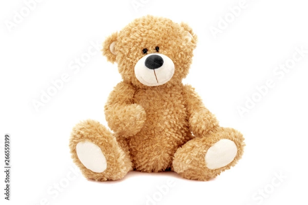 Obraz Teddy bear