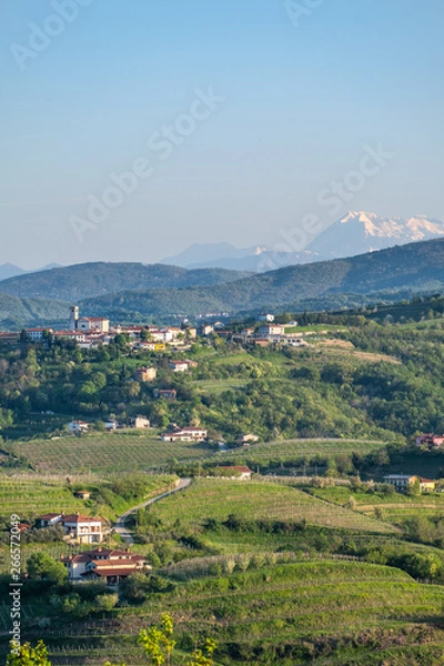 Fototapeta Small village Šmartno in Brda in Slovenia with Julian Alps