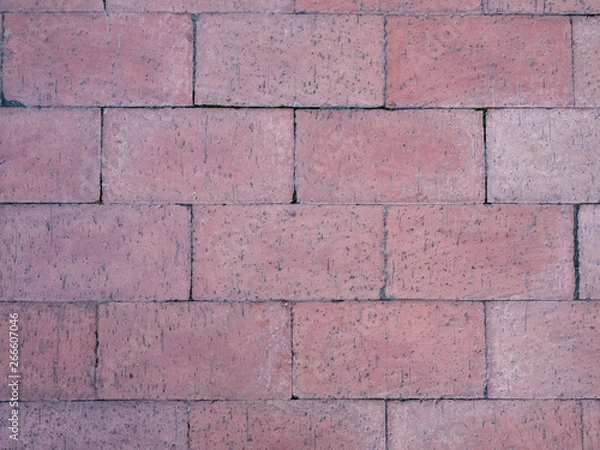 Obraz Pink Brick Walkway Texture Background