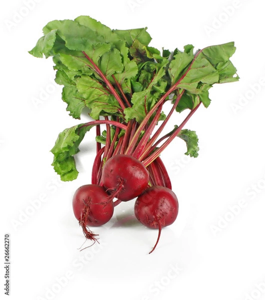 Obraz fresh beet roots