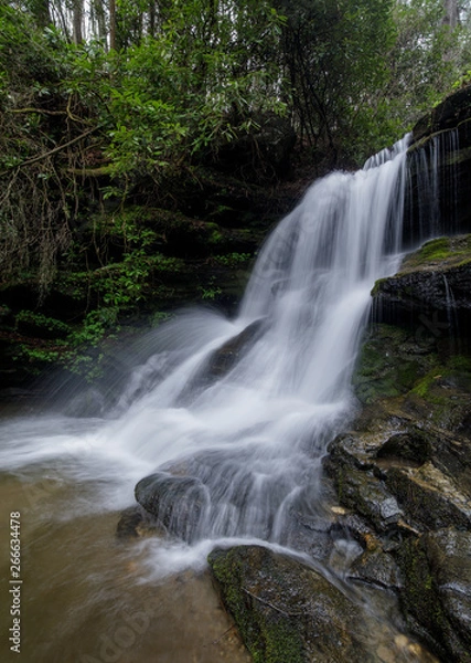 Obraz Colors of Early Spring