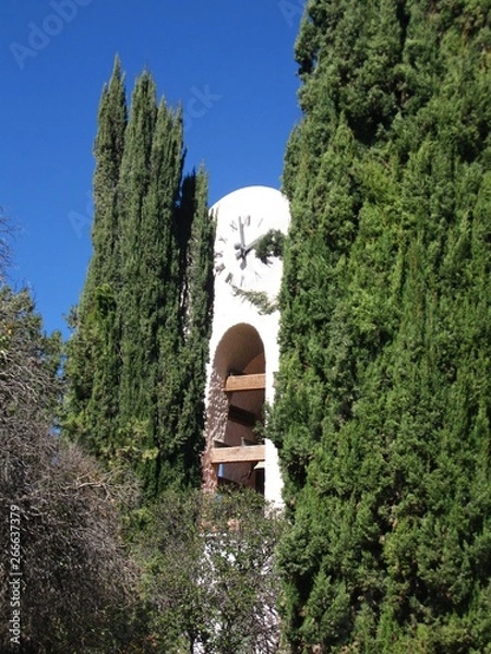 Obraz Reloj entre arboles