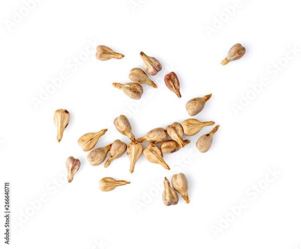 Obraz grape Seed isolated on white background. Top view