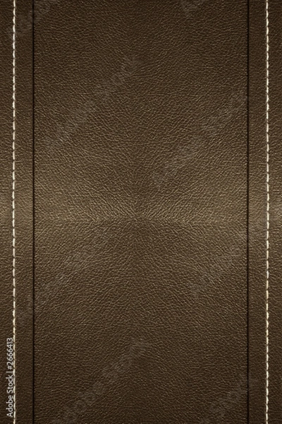 Fototapeta stitched leather
