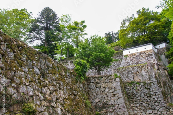 Fototapeta 備中松山城