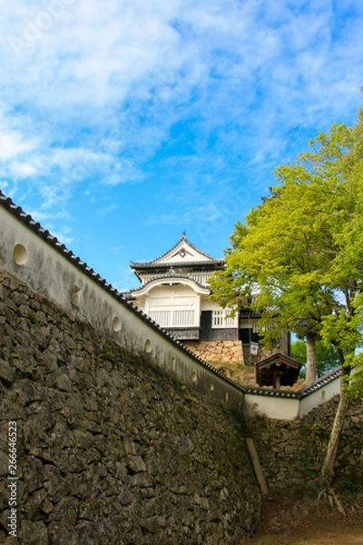 Fototapeta 備中松山城