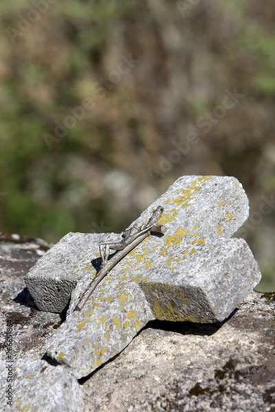 Obraz Croix en pierre brisŽ et crucifix dans un cimetire..