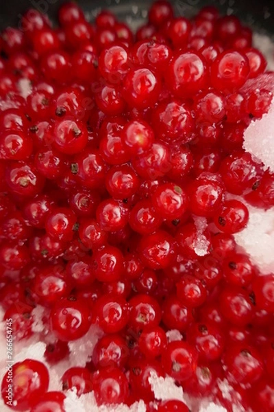 Fototapeta red currant berries with sugar macro background.Red currant jam.Summer berry. 