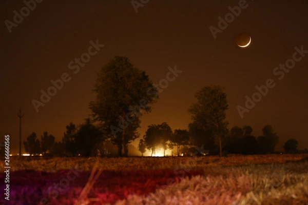 Obraz sunset in the park
