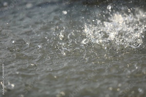 Fototapeta water drops