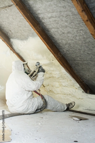 Fototapeta spray polyurethane foam for roof
