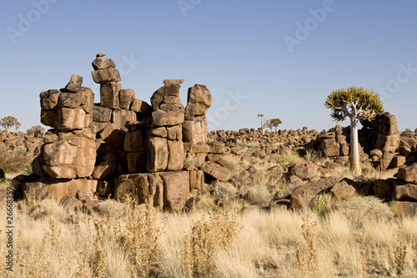 Obraz Giants Playground