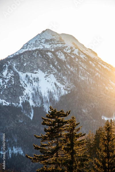 Fototapeta Berg Ötscher