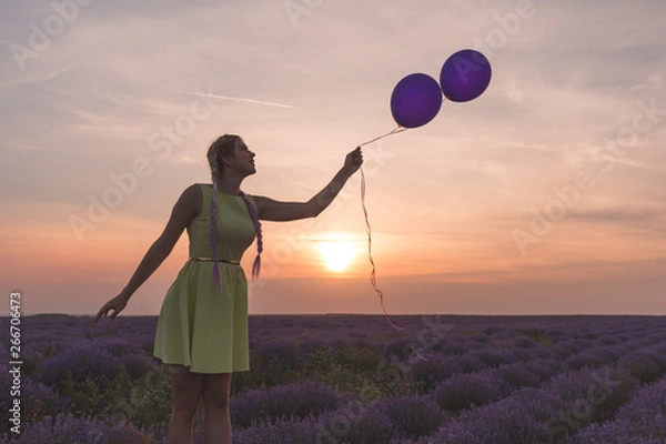 Fototapeta A beautiful model with long braids stands in a lavender field. Holds two balloons in his hands. Sunset in the background.