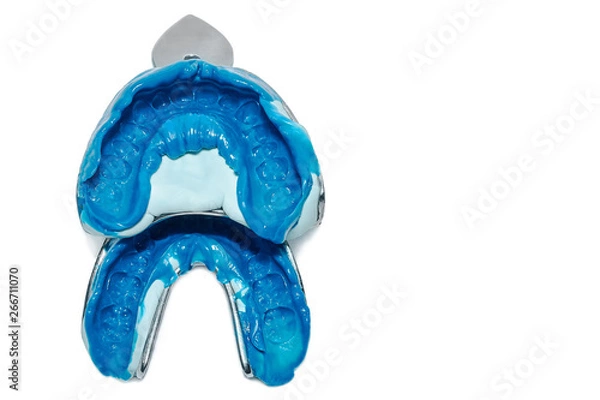 Fototapeta Two dental impressions on a white background with copy space. The imprint of the tooth row of high precision.