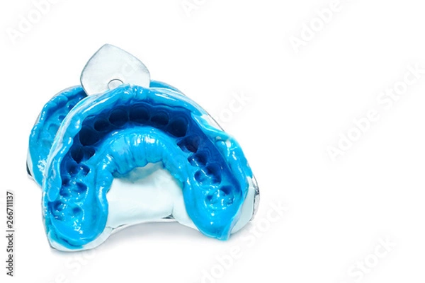 Fototapeta Two dental impressions on a white background with copy space. The imprint of the tooth row of high precision.