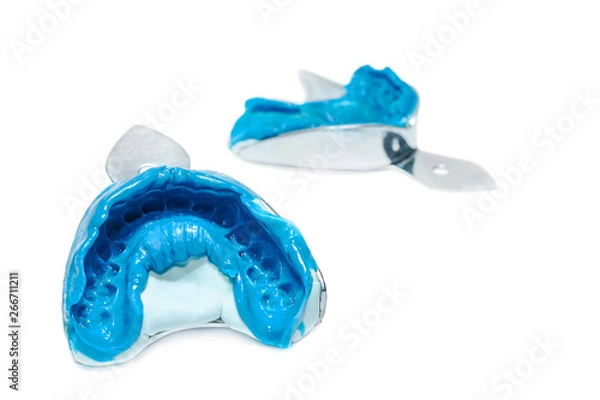 Fototapeta Two dental impressions on a white background with copy space. The imprint of the tooth row of high precision.