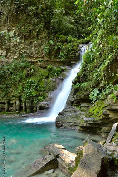 Obraz Cascada Xilitla 2