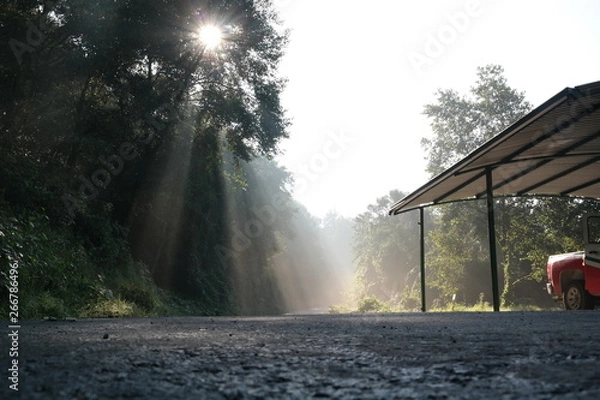 Fototapeta Rayos de luz