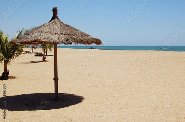 Obraz beach umbrella