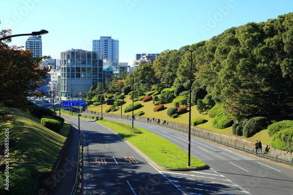 Obraz 代々木八幡へと延びる道路と公園の樹林帯