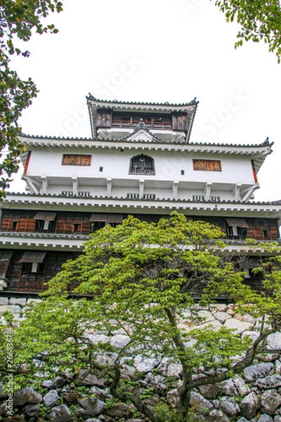 Fototapeta 岩国城　