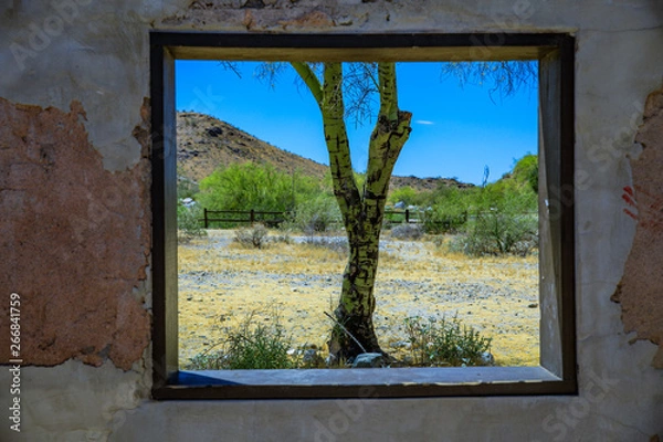 Obraz looking out from the past