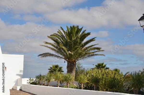 Fototapeta Lanzarote