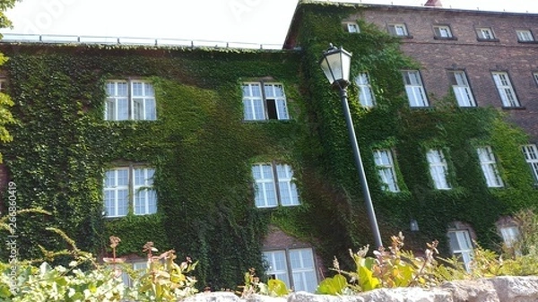 Obraz ematrot02 Photo