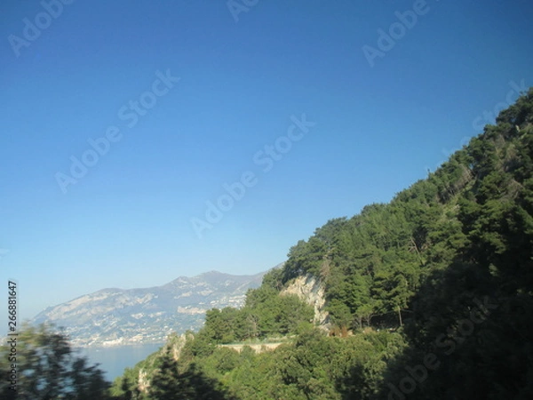 Obraz nghfjfghhgthhd