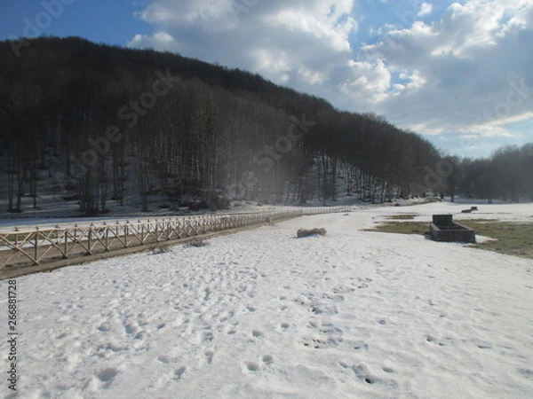 Obraz nghfjfghhgthhd