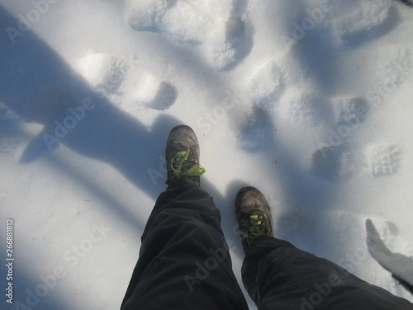 Obraz nghfjfghhgthhd