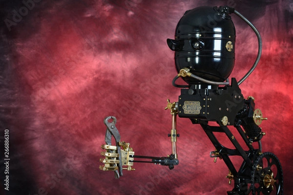 Obraz Mechanic servant