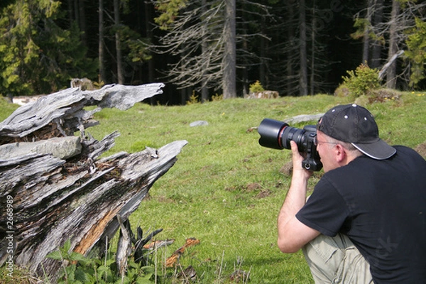 Obraz photographer in action