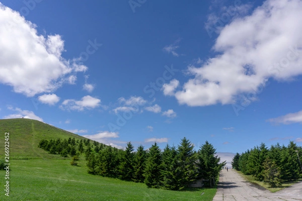 Obraz 公園内の2本道