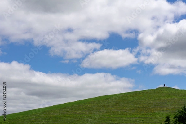 Obraz 公園内にある山