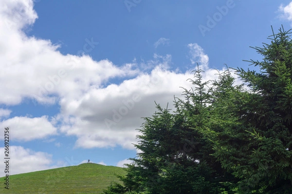 Obraz 公園内の山