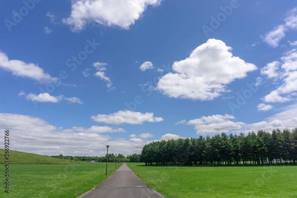 Obraz 公園内の1本道