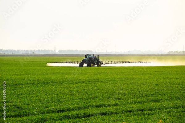 Fototapeta tractor with the help of a sprayer sprays liquid fertilizers on young wheat in the field.