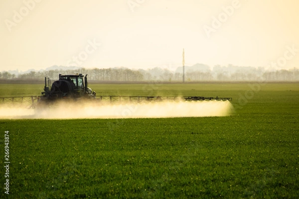 Fototapeta tractor with the help of a sprayer sprays liquid fertilizers on young wheat in the field.
