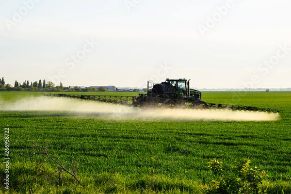 Fototapeta tractor with the help of a sprayer sprays liquid fertilizers on young wheat in the field.