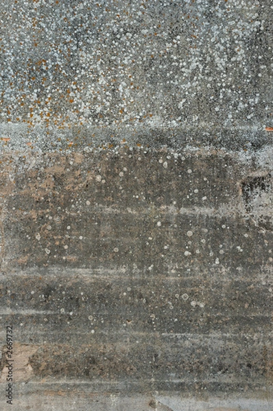 Fototapeta stone texture