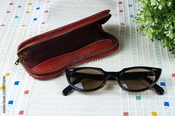 Obraz Brille mit Etui